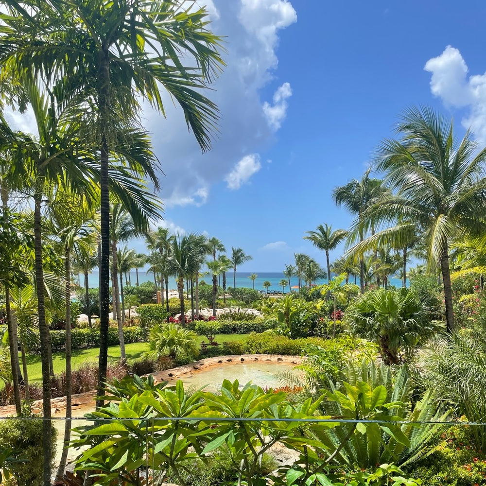 Meet your Posher, Doctor Lo